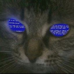 Coin image for EQYYyCybCBSSnKxsbkE6LW5FTAp9JqH1LtDcFjHopump
