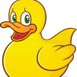 Coin image for ER7YcrjFo7CUcHBAWgozpPErAtwXWwfLtomiuA7epump
