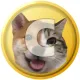 Coin image for ERXM8Dddr8FK2xnMDdAscKuLAuHCQcg5AL4EiAmdpump