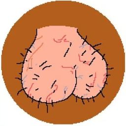 Coin image for ES9hW6VYDsmWyvfdxCxmE5fous5VtSbXaKELwteanh3A