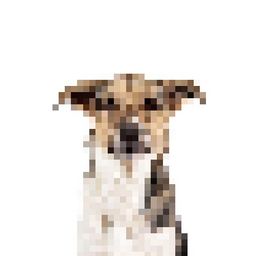 Coin image for ETCww5KZbcRES2VcQt1EYdDf7tJi4j8dRafRunbipump