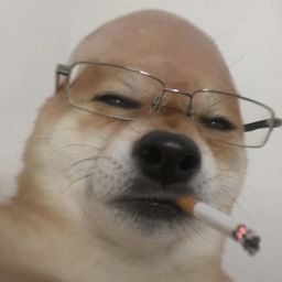 Coin image for EUZ7ErMScXaYEMQxfqNWfeavENAze4UPuE7NV7Tdpump
