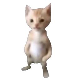 Coin image for EUppUovHF6CMRP4nGEdFzfzSt4BiqBGNK18XeJcapump