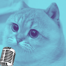 Coin image for EUwibNPHH2xCaJFoMrJFUdv3Q6gFUtcR2Y5SubsSpump