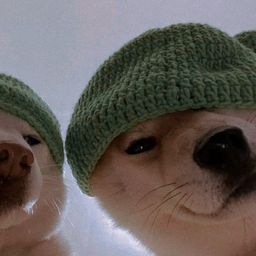Coin image for EVHKPVfWVTxAeUxVBnvmRKB3wbTKZKXzmZgo3uyApump