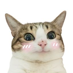 Coin image for EWFADsLcXQNKz6uayJRroqEPQ4Vjgpb9odkDKPiGpump