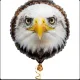 Coin image for EWKwLh4CCzD3wgVYPH9xZSvn81wysKdwzbRAA3cWpump