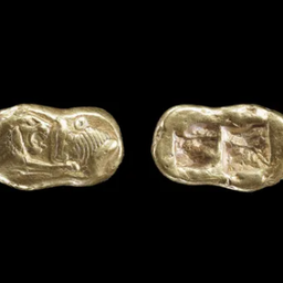 Coin image for EWvPg3JqdkrfTnEF8e5VcpShQJ5ePTGZrKscqQLpump