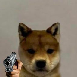 Coin image for EXDF5DmZ3EnMeR2bbVWcyzuJByRHRMLreQJ1yEc1pump
