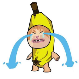 Coin image for EXDgLyLDsJaLRr6KLLVrEHyuVfj2gAeHyvBLWGdYpump