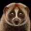 Coin image for EXghZzUckK4aocrJrawgxGuFCQ5bfAXT2h9FR5on5HAW