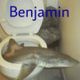 Coin image for EYDb72unB4b8GsFVBwKNmH8QLE6LEu6EhL2GTVxppump