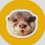 Coin image for EYXykxXR9khAUs6uFFWXcnychGRXMUVRL7rJH8tipump
