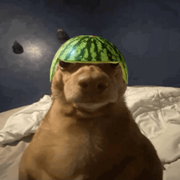 Coin image for EYpUaSfpdwrMS4ug2RnKmDk39yJ8S7ktLcjGJ8vApump