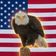 Coin image for EZNN9ALUuYdq8McRgx5Qt73UNFpjnx1zhtyVmm2Rpump