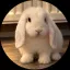 Coin image for EZShxGKHPxrwtEWr2DJgCgMjJvLQRXNXqFn1SqMKpump