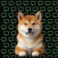 Coin image for EZkxCpVtLxWbPBuBmLmNd21ee8FiRbAKfwRorihzpump