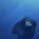 Coin image for EaghGhqTKCCexEF3GEcGrrcjyrrnyBHwo9kbJfuapump