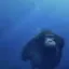 Coin image for EaghGhqTKCCexEF3GEcGrrcjyrrnyBHwo9kbJfuapump
