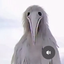 Coin image for EbZpC3RRxC3wiyktssFRYHGpbAtdcfoir8RaomPtpump
