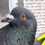 Coin image for EbivMkEns5btKXfhcnBSPSvTSDUQZwNSGLs7YdFrpump