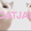 Coin image for EctWKRa6zNAAAdWt5a9FgXQSQu391qYNctzLgw8Zpump