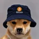 Coin image for EdxZsiHpKgCjg77CyLm5MRrP7uuSCY3sf1SgL3tQpump