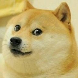 Coin image for EdzFKxCokKgLBdFqjCGmdfpfUj7iFP9gE2empyPepump