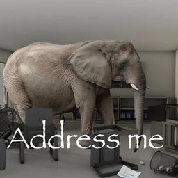 Coin image for Ee89H7Hn9WPDEEnDJFgpeMyVTSSFzhK3fvZ9CKBVpump