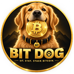 Coin image for EfcKLYoyTMUn7PT8BmvXDjQLRCcaD1EBYXgtMHAqpump