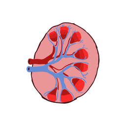 Coin image for EfnMJc1Mmrth72YuwCmhtnp3YbkiPgFWcgG9jCJxpump