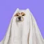 Coin image for EfuxkhVDxYCKeN3njBPPcvbfK1gXTnfcYiuHQ2ssZBYY