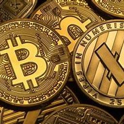Coin image for EhFknKvb69iL2e4GKbsukBT4aKZuCqViaBqF3Vu5pump