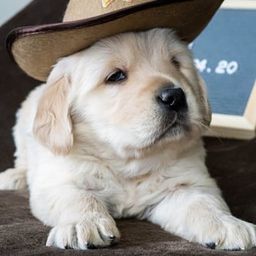 Coin image for EiMtU6phnr7AYeRBLPS981vHqUujFmApHGttz7YNpump