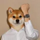 Coin image for EiZCdWwwnomKLWotLej3eHBVYc7d9kj5GUoDb2eZpump