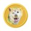 Coin image for EjetHT5qgeVYztoLEYgMTULfnXhFSnQZd1K4vkfw7tyv
