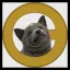 Coin image for EkPhXXNV8y19DyXJ2gtoD6k6W4QVKPqkykHZReypump