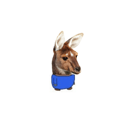 Coin image for EksdKTQExt9hPpo3YTxwEGAEGFy3ZMaixQeMSbnQpump