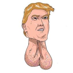 Coin image for Em3AFdRUAbsTKifUGoMGU5JHbrawRpt2zQrPTTHPpump