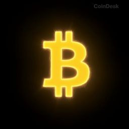 Coin image for EmbXQCYcG9C33oDofvD979uh7cWiuHWzoAXkLyWLpump