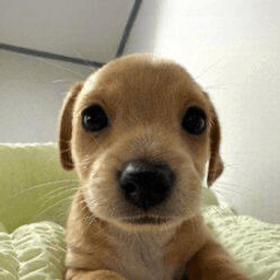 Coin image for EmuyR8bRipf5izxaPkDdkGfwicJvUaeCJC8g4nSwpump