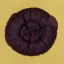 Coin image for Enu2ocdMBacPMAbQFXFNEJN8u9sPivRnWKPCzRADpump