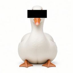 Coin image for EoBiRePf1pPAyRAM7ggmc2nZjYoLfsYWHDSKWwCfpump