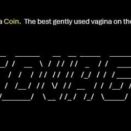 Coin image for EognLfi95vXcCZAAS1d9PT5xcs73Qn1AHyfo9LLTpump