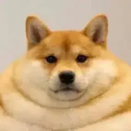 Coin image for Ep1GfS9PGPe5NvZu4akx5aMjd8aezAXKC2sJJ5zhpump