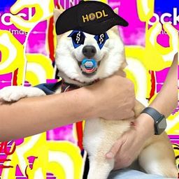Coin image for EqEeHFuRGvCpEHAPPNrcLNgNCG1knrLXhtnEeG3gpump