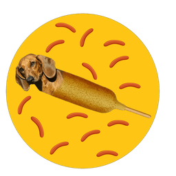 Coin image for ErHRuAxYYkLWKyqsa9vYcqfirY3JUmCNe5ChME518eep