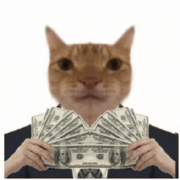 Coin image for EtKzmTYycGCNMjrbfereF6wEBADSUFu2hpk3qdmKpump