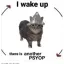 Coin image for EvDDLrXQaqFRLVm8orLvUgzEcDT4tchT4NokWUJhpump