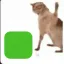 Coin image for EvE2czNoQCKNrjqmmRzEjNRaLrVg5ru9iXoC73QqMBmL